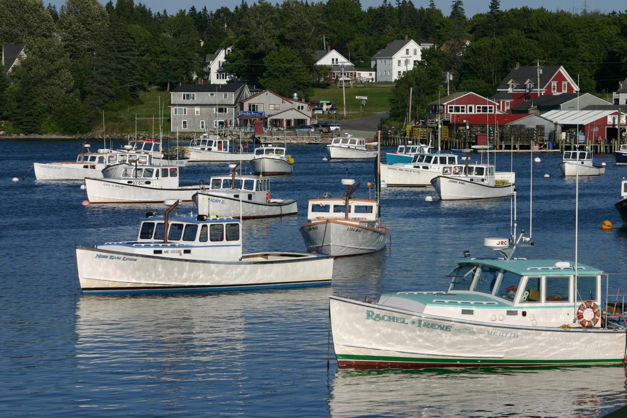Lighthouse Cabins Maine Bass Harbor Extérieur photo